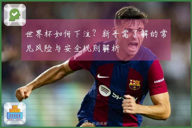 世界杯如何下注？新手需了解的常见风险与安全规则解析