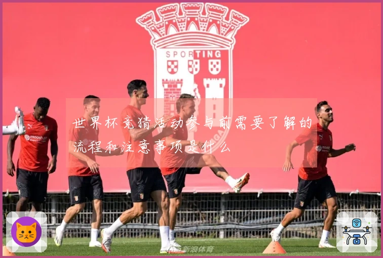 世界杯竞猜活动参与前需要了解的流程和注意事项是什么
